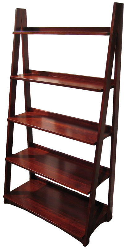 Ladder Bookcase