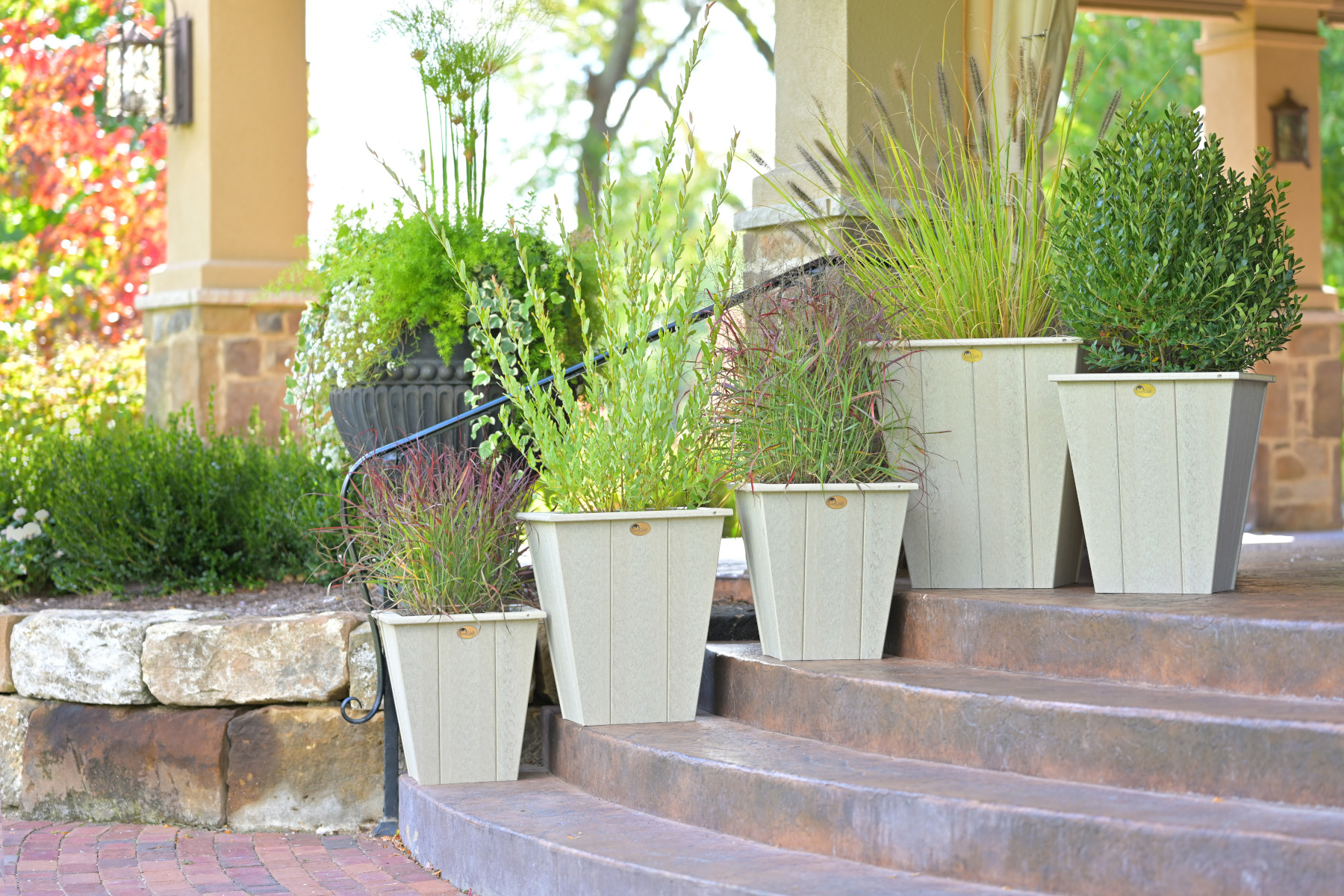 Elite Planter Collection in Birch