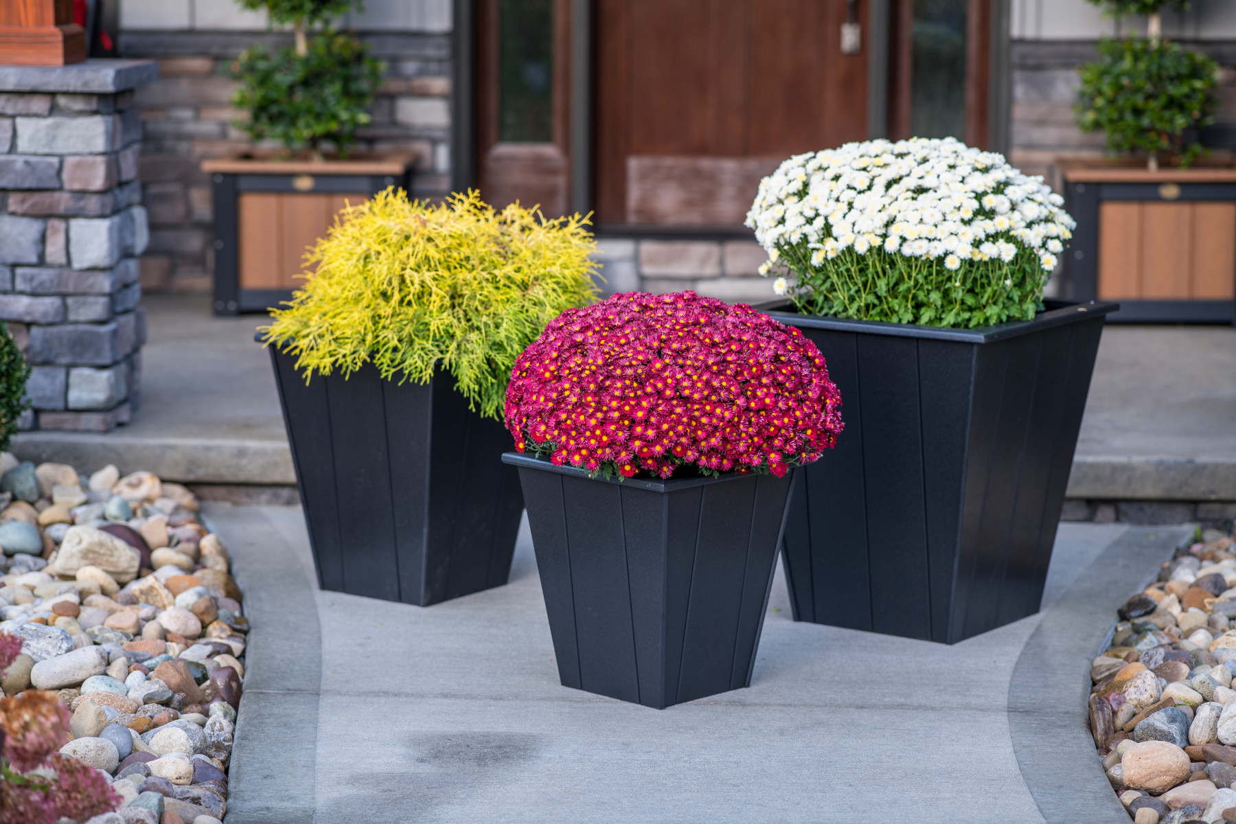 Elite Planter Collection in Black