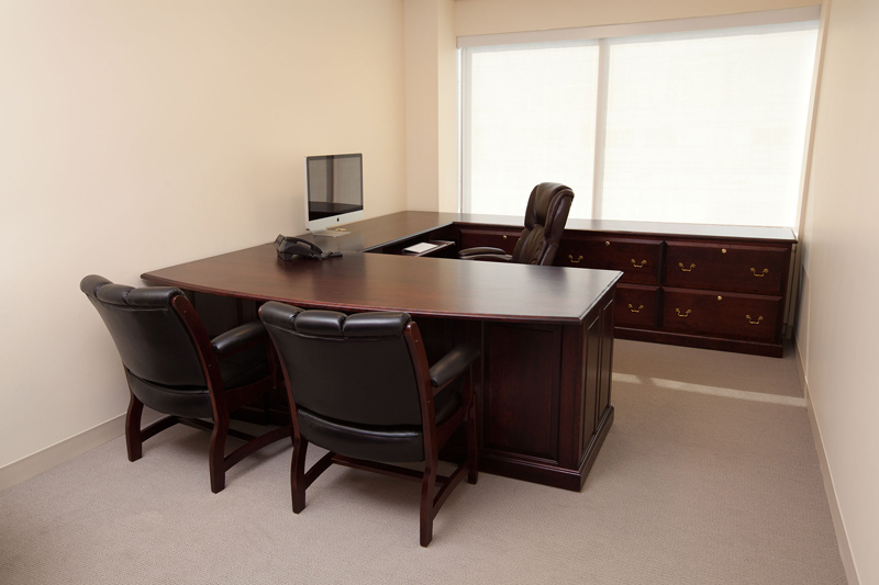 Edelweiss Client Chairs in Leather