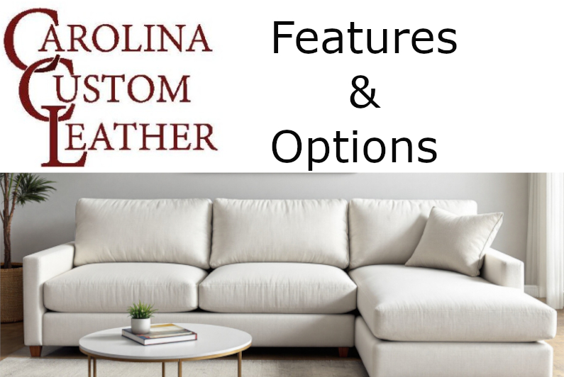 CC Leather Features & Options