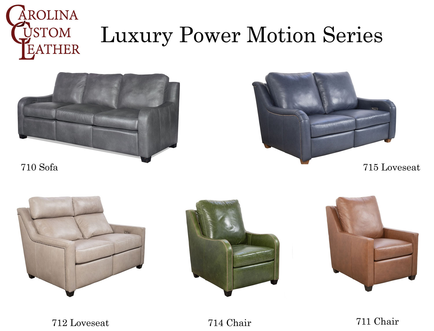   Carolina Custom Leather Luxury Power Motion Series Program