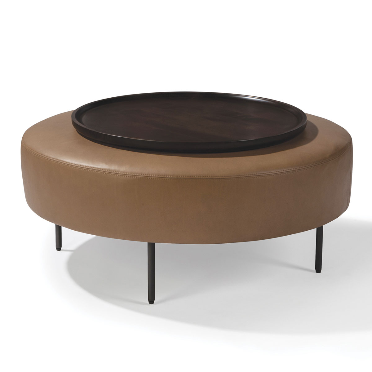 1431-000 Slice Large Round Table Ottoman & Large Round Table Tray by Thayer Coggin